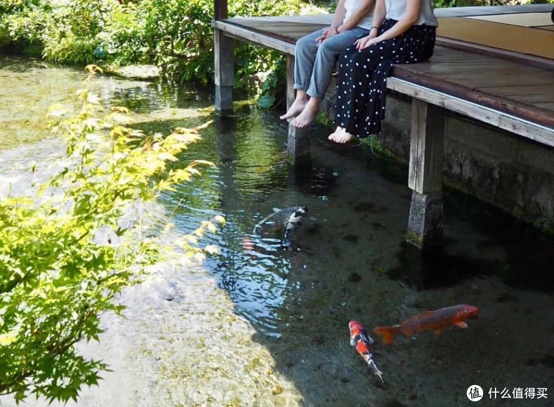 九州那些视野无敌的海景温泉，去过2家算我输