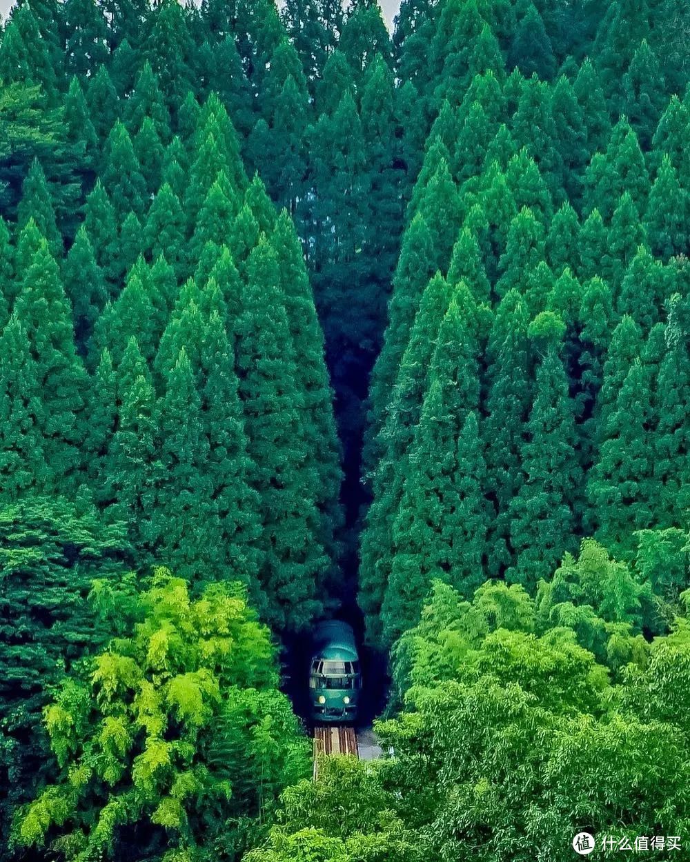 一张票畅游九州，火遍ins的小火车旅行又浪漫又省钱