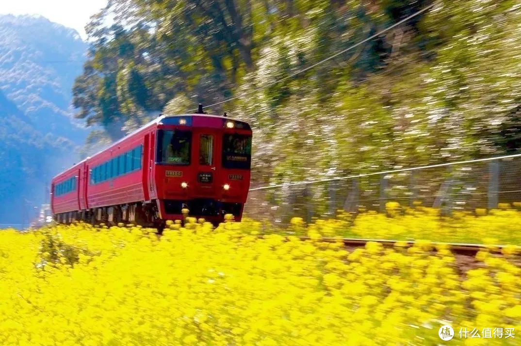 一张票畅游九州，火遍ins的小火车旅行又浪漫又省钱