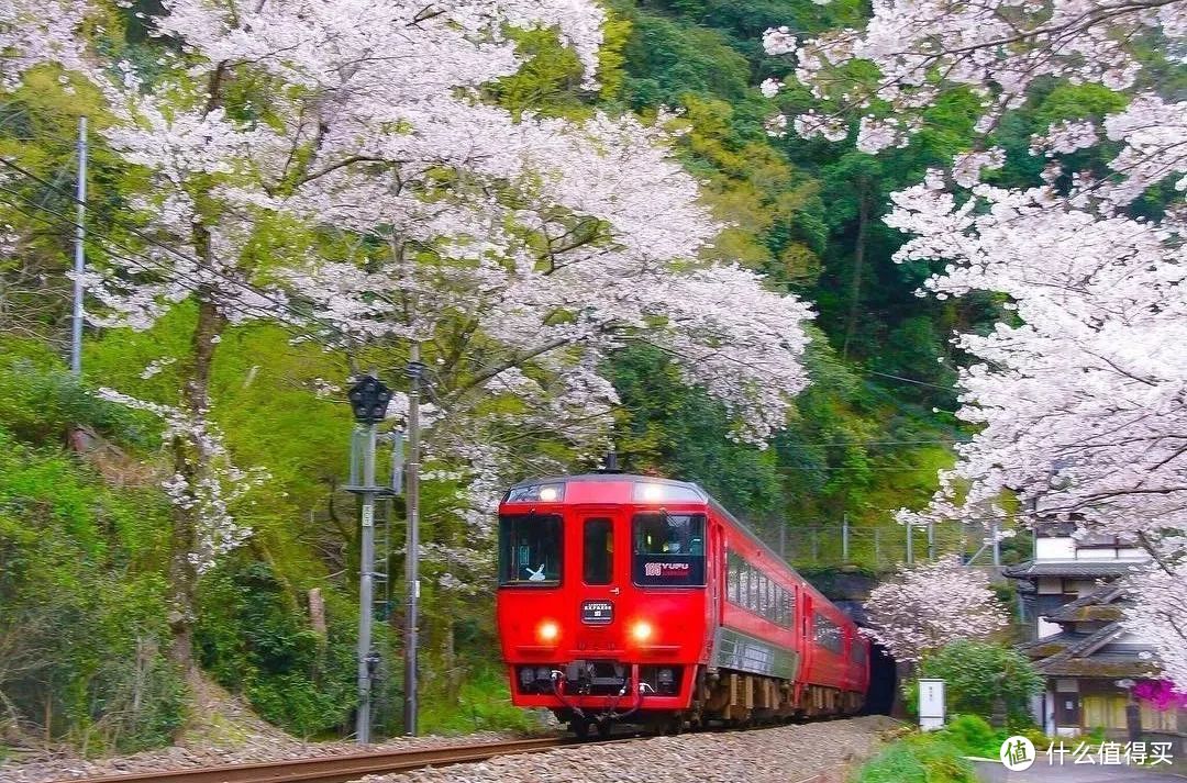 一张票畅游九州，火遍ins的小火车旅行又浪漫又省钱