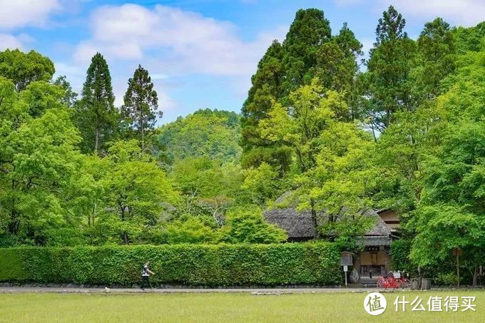 虹夕诺雅 | 我今天才知道，我之所以漂泊就是在向你靠近