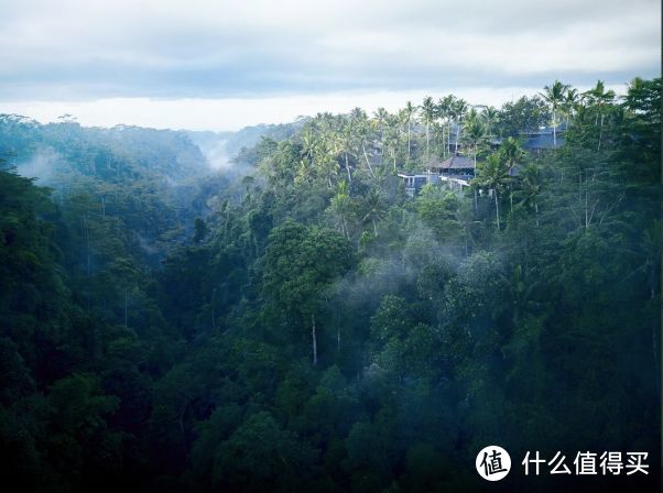 虹夕诺雅 | 我今天才知道，我之所以漂泊就是在向你靠近