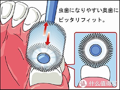 每日一牌：日本STB/蒲公英 360do BRUSH 牙刷品牌