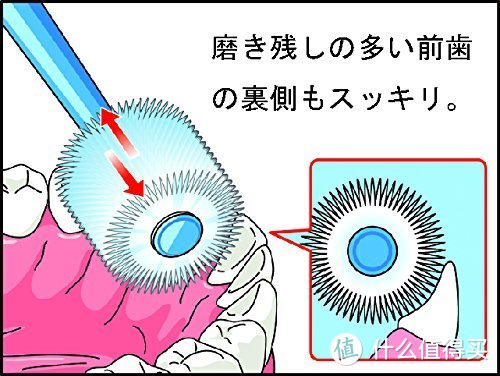 每日一牌：日本STB/蒲公英 360do BRUSH 牙刷品牌