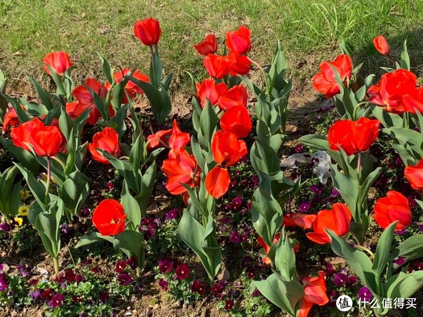 宁波植物园，一个春暖花开时值得去的地方…