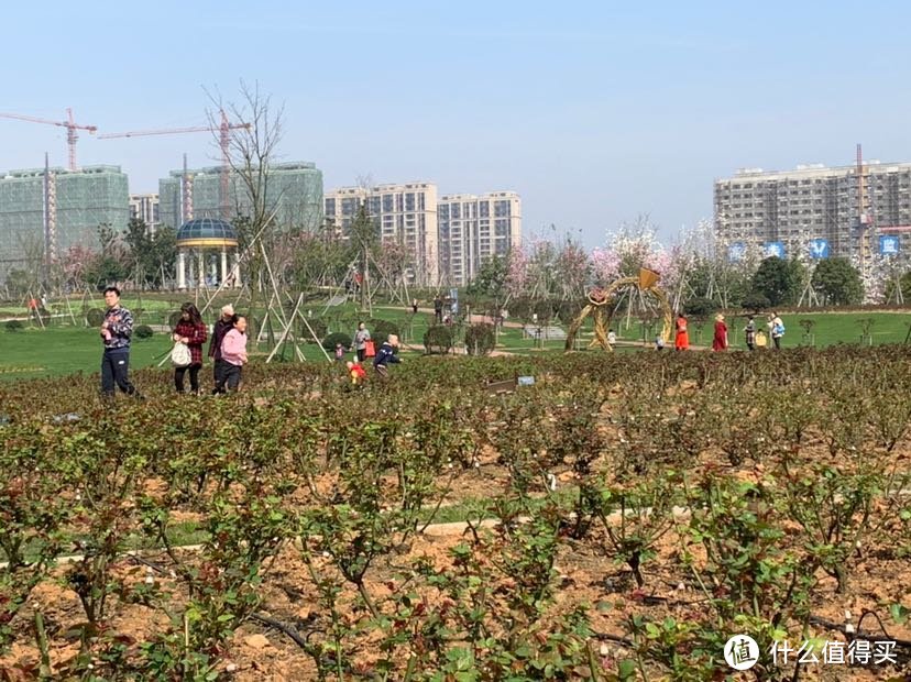 宁波植物园，一个春暖花开时值得去的地方…