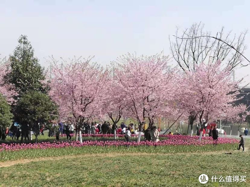 宁波植物园，一个春暖花开时值得去的地方…