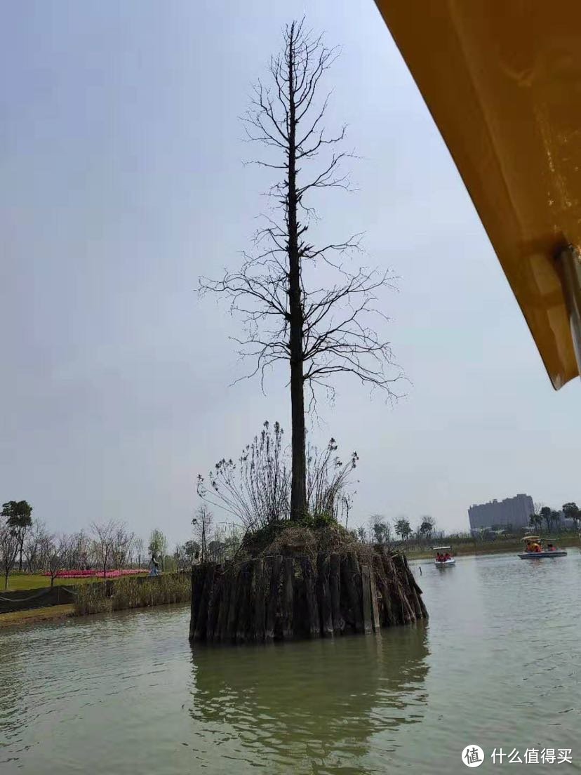 宁波植物园，一个春暖花开时值得去的地方…