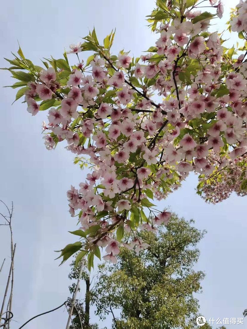 宁波植物园，一个春暖花开时值得去的地方…