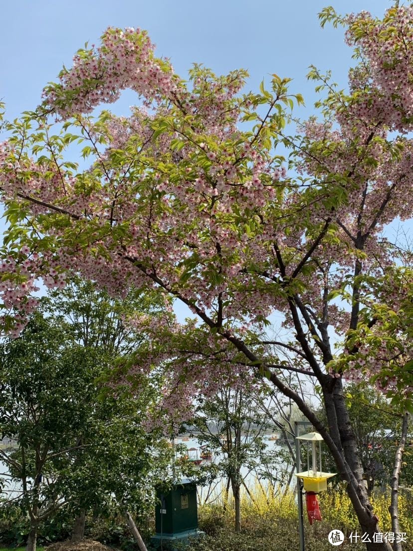 宁波植物园，一个春暖花开时值得去的地方…