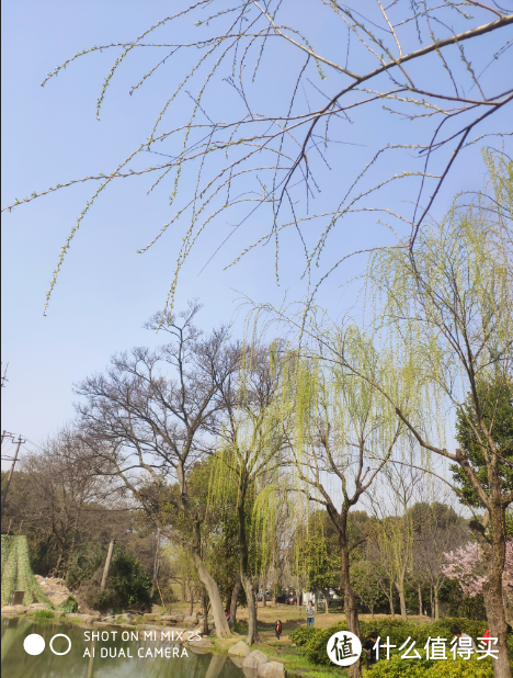 春暖花开，日本很远，无锡很近（下）