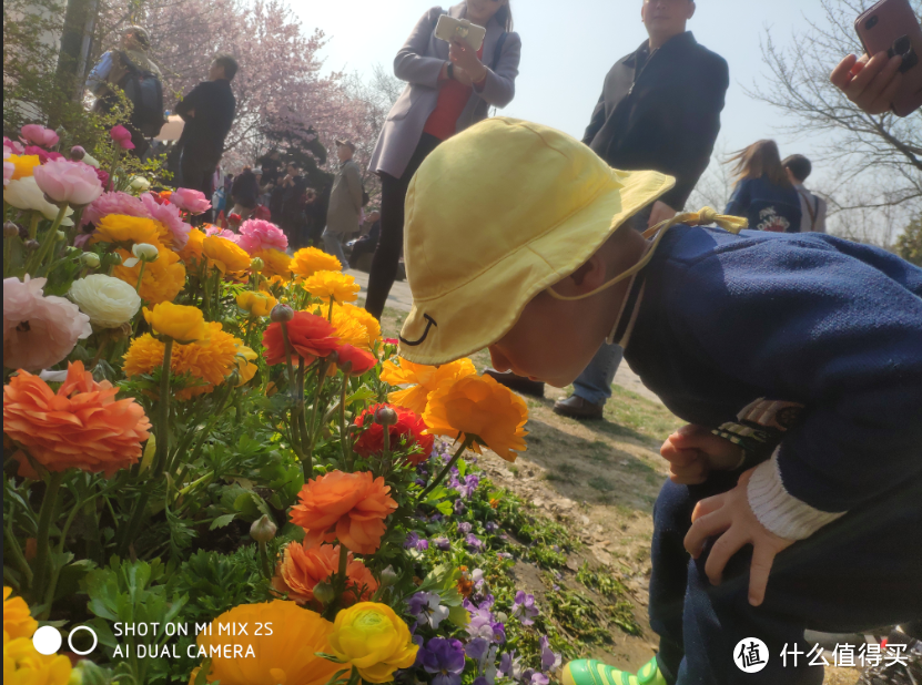 春暖花开，日本很远，无锡很近（下）