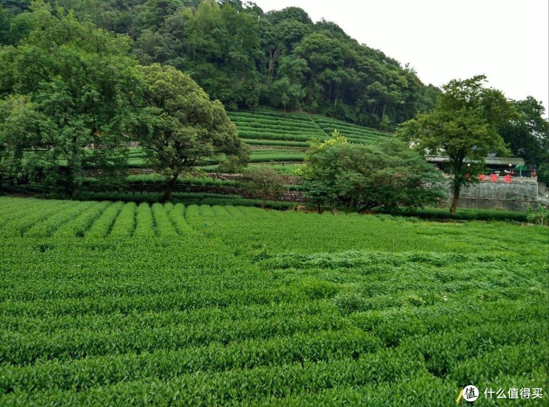 一辆公交车穿起杭州N个景点，下了火车0距离换乘，专为旅游定制（攻略）