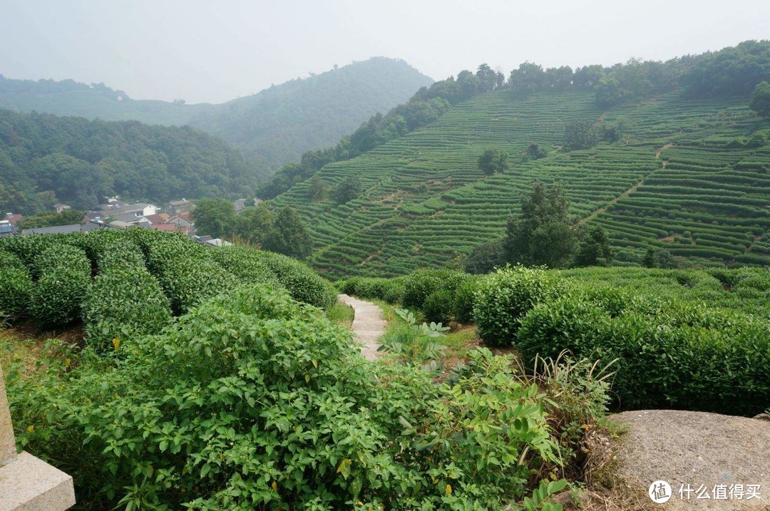 一辆公交车穿起杭州N个景点，下了火车0距离换乘，专为旅游定制（攻略）