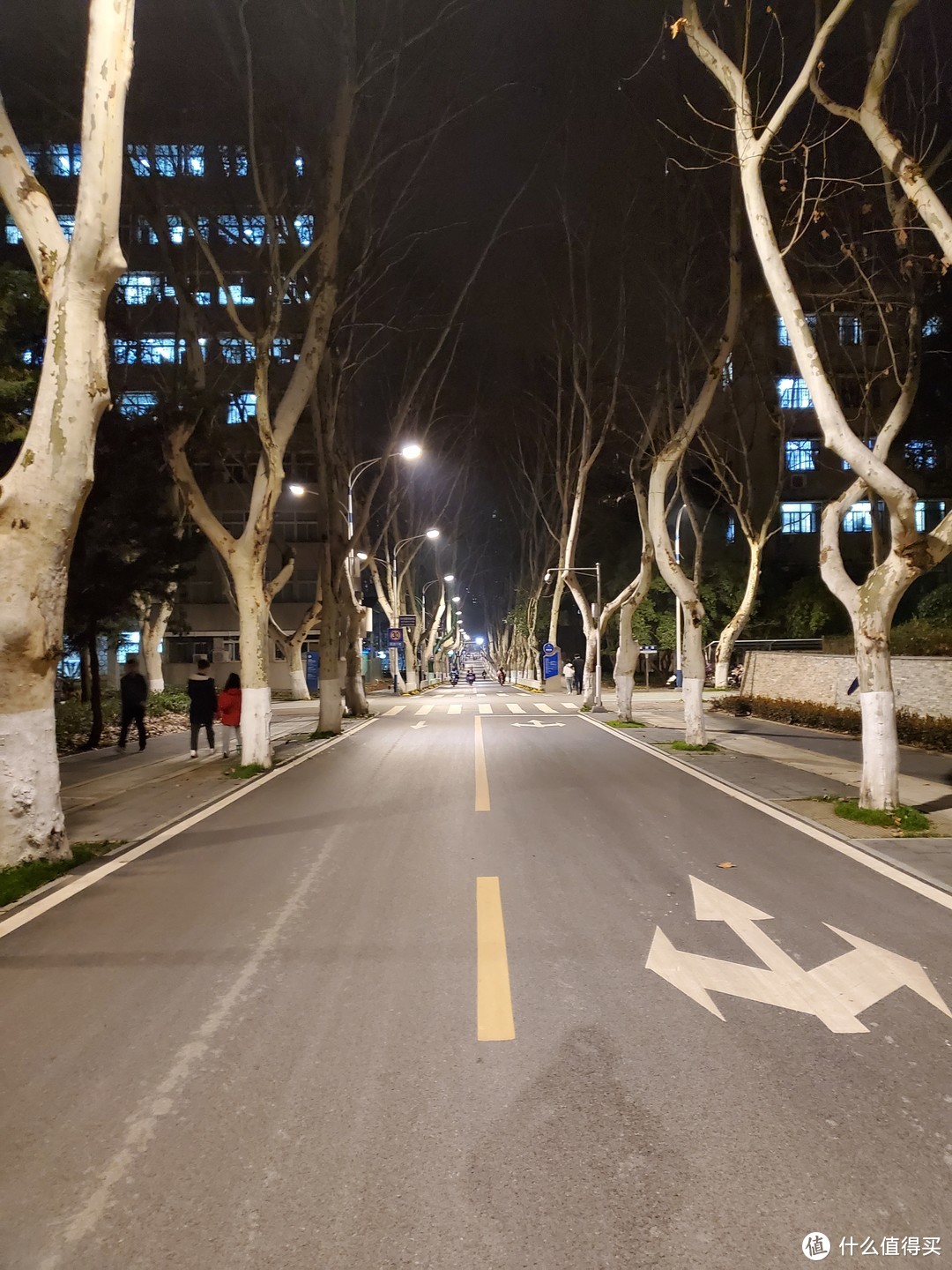 校园道路夜间拍摄