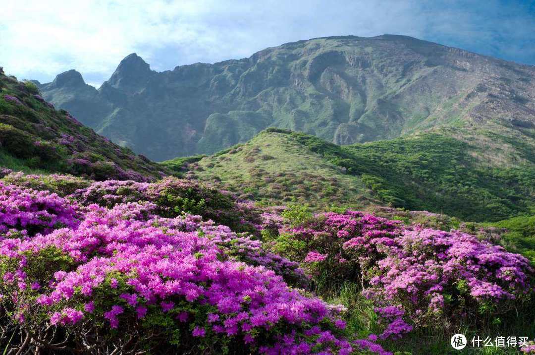 6月去川藏线的三大优势