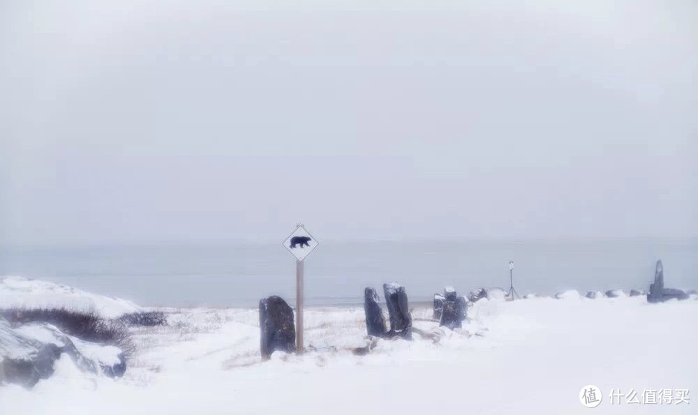 ▲此时飘着小雪，我们走在海边，海水天地都呈现朦胧的白色。到处都是小心北极熊的标示，北极熊很有可能就藏在某块石头后面。