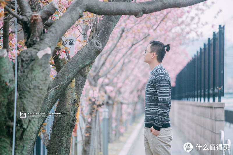 【京都花见】总有樱花在等你，冷门赏樱秘所大公开