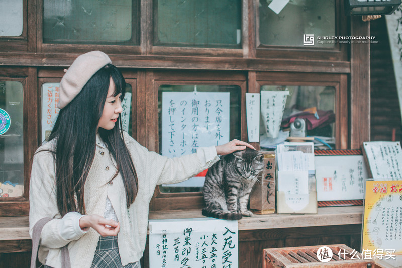 【京都花见】总有樱花在等你，冷门赏樱秘所大公开