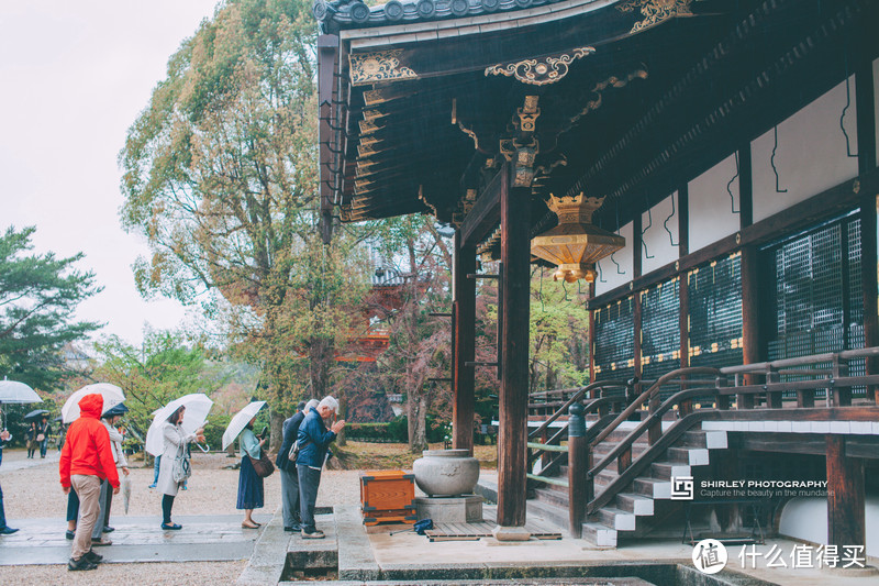 【京都花见】总有樱花在等你，冷门赏樱秘所大公开