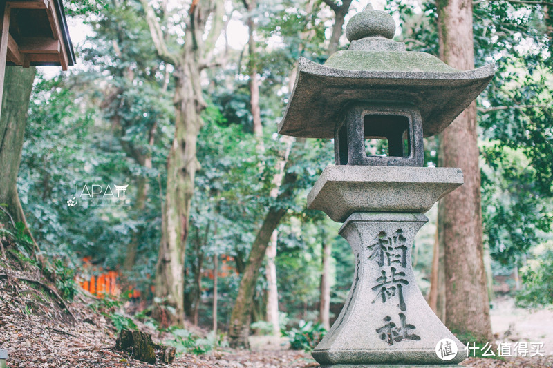 【京都花见】总有樱花在等你，冷门赏樱秘所大公开