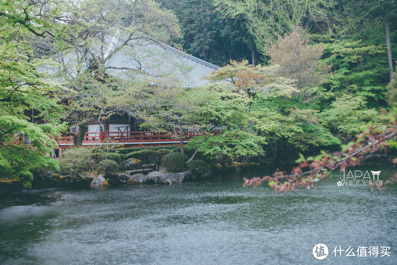 【京都花见】总有樱花在等你，冷门赏樱秘所大公开