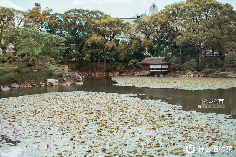 【京都花见】总有樱花在等你，冷门赏樱秘所大公开