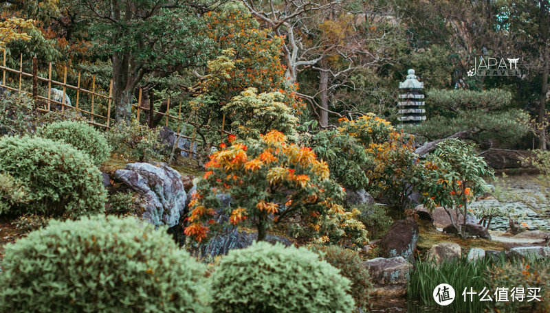 【京都花见】总有樱花在等你，冷门赏樱秘所大公开