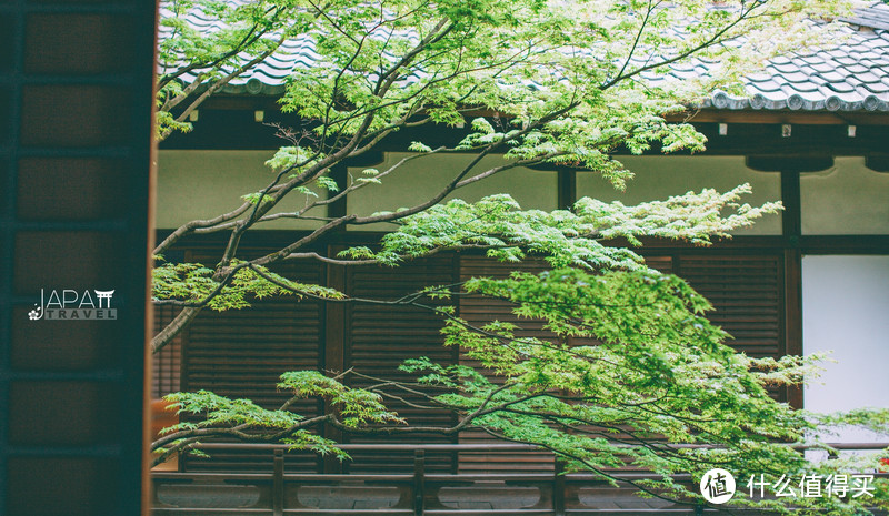 【京都花见】总有樱花在等你，冷门赏樱秘所大公开