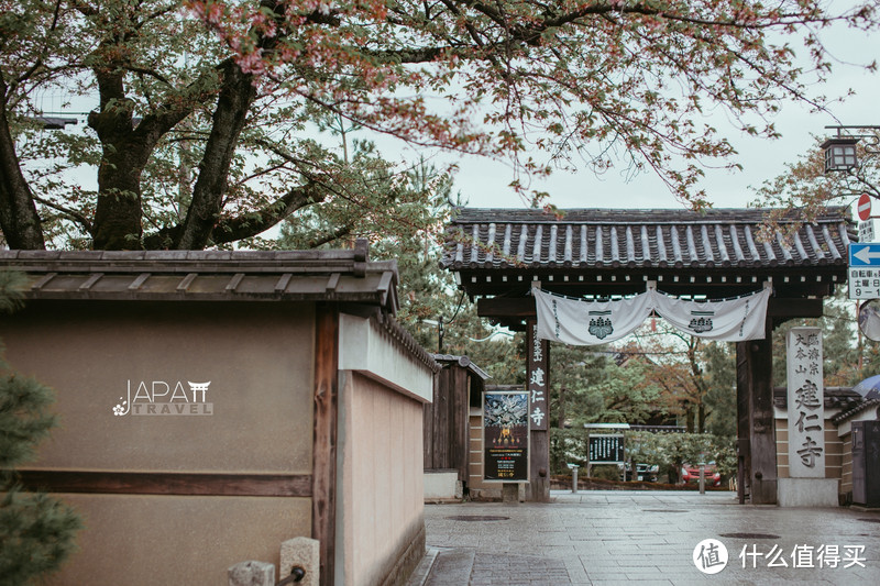 【京都花见】总有樱花在等你，冷门赏樱秘所大公开