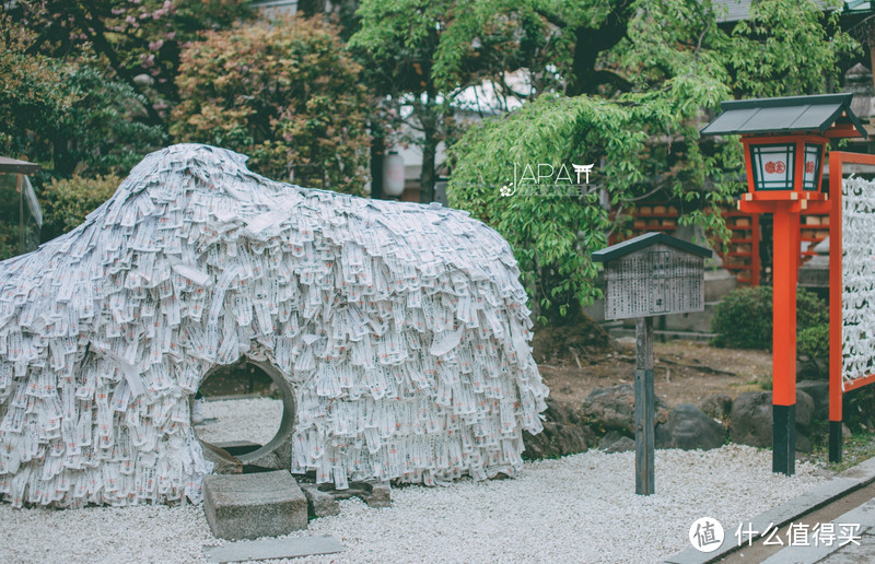 【京都花见】总有樱花在等你，冷门赏樱秘所大公开