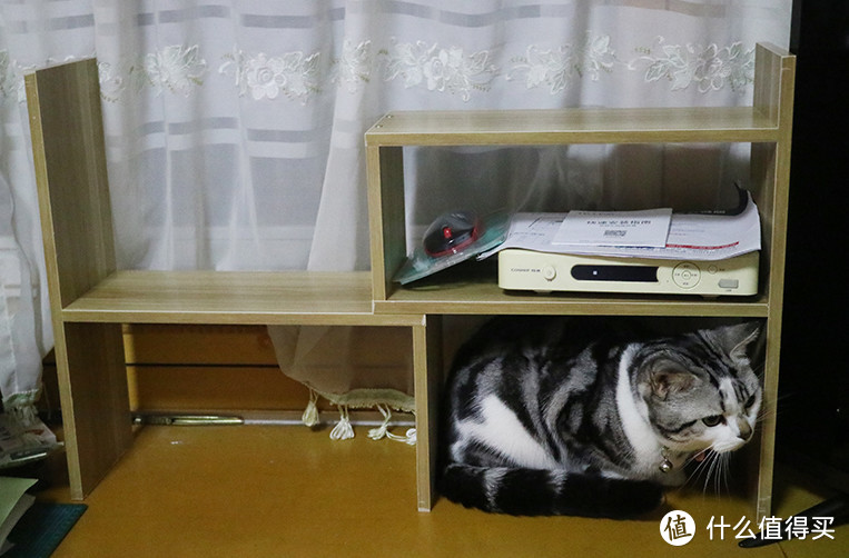 卧室书桌简易整理架，猫咪见了都喜爱