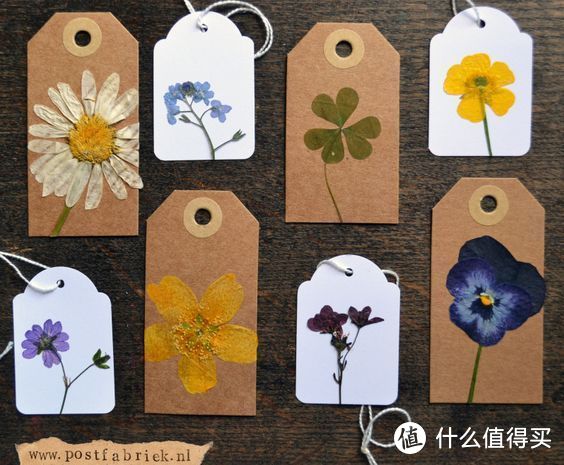 15家高颜值干花店铺|干花有哪些用处？