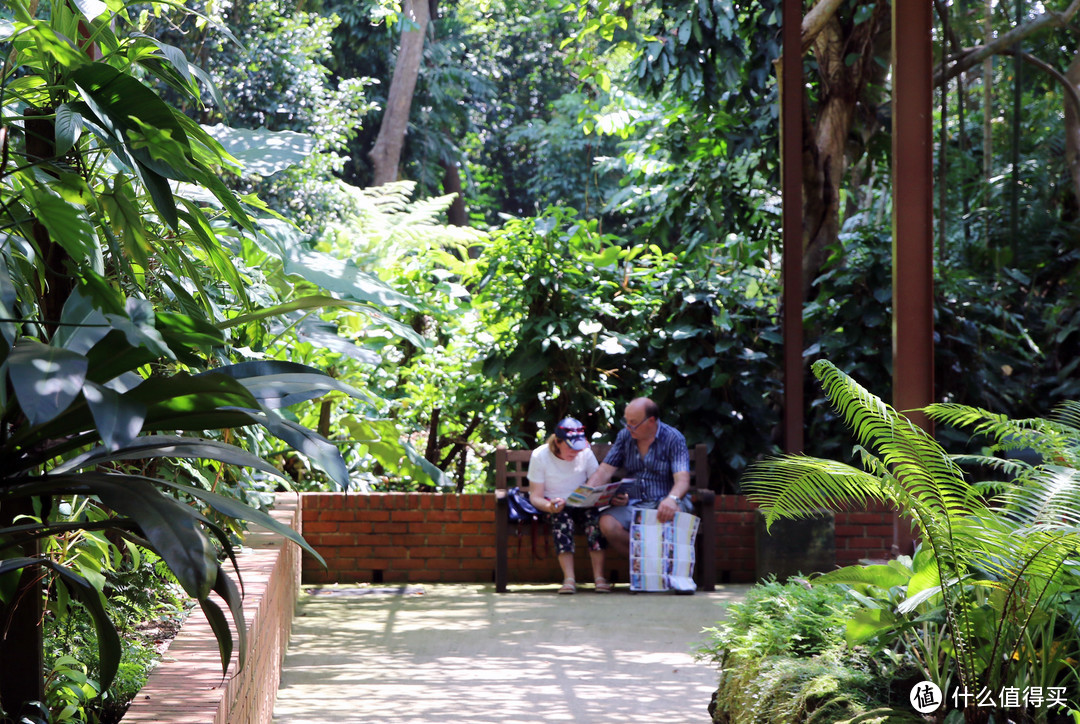 静谧的新加坡植物园