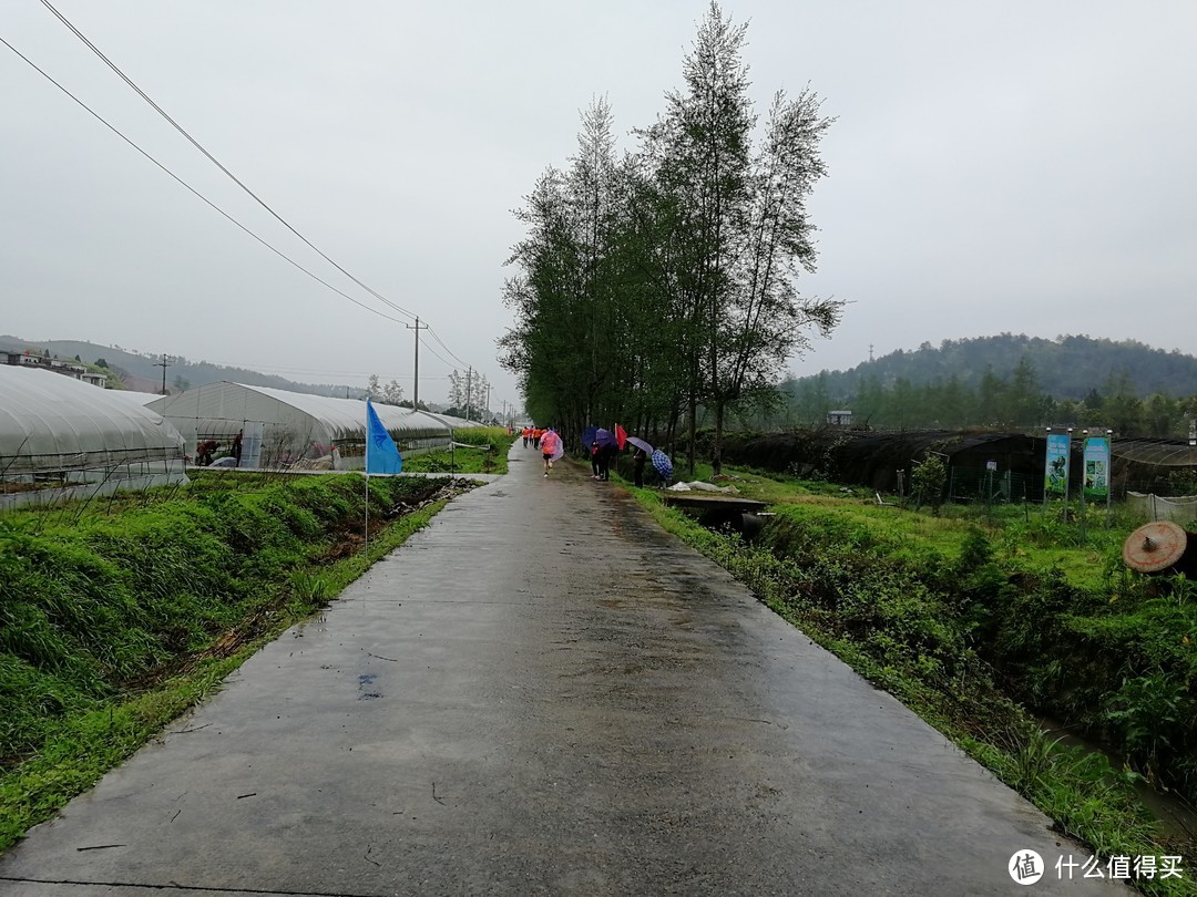 认真得像是专业的--奔跑永新.首届马拉松赛