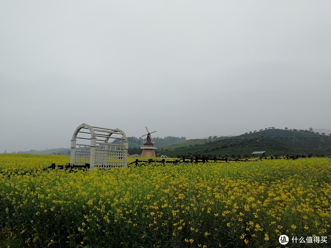 认真得像是专业的--奔跑永新.首届马拉松赛