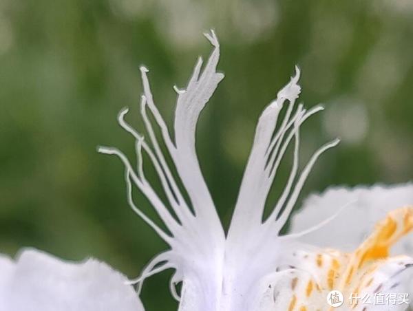 小米9和红米note7pro使用感受