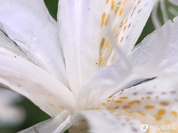 小米9和红米note7pro使用感受