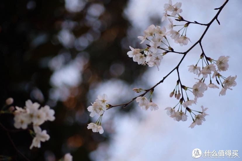 一份富士用户的逆向购机手册