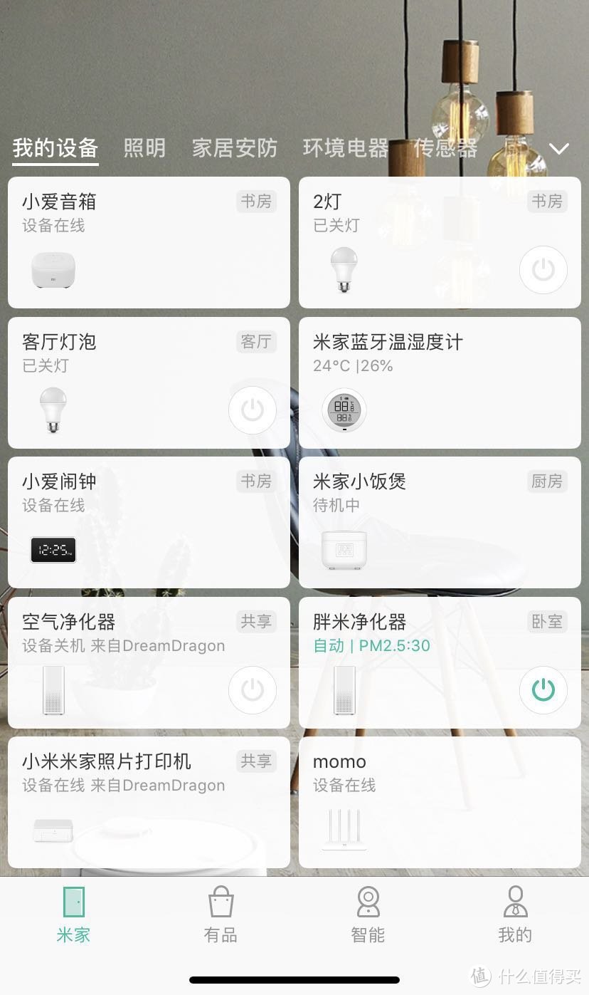 目前可以控制家里的两个灯和米家上有的两个净化器，可以问问室内温湿度情况