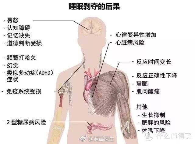 水母装修记 番外：自己动手装个床——Zinus际诺思实木铁艺床 开箱评测