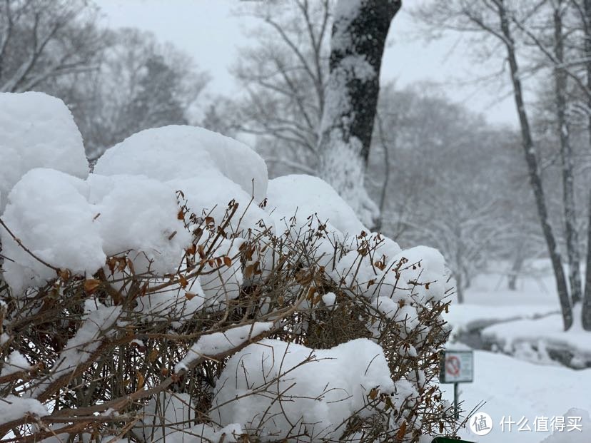 带娃旅游之雪雪雪的北海道