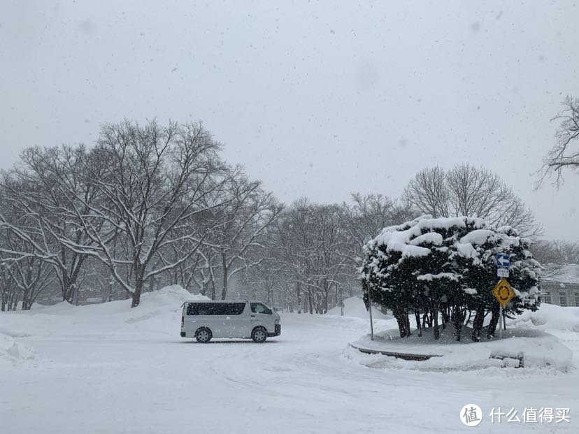 带娃旅游之雪雪雪的北海道