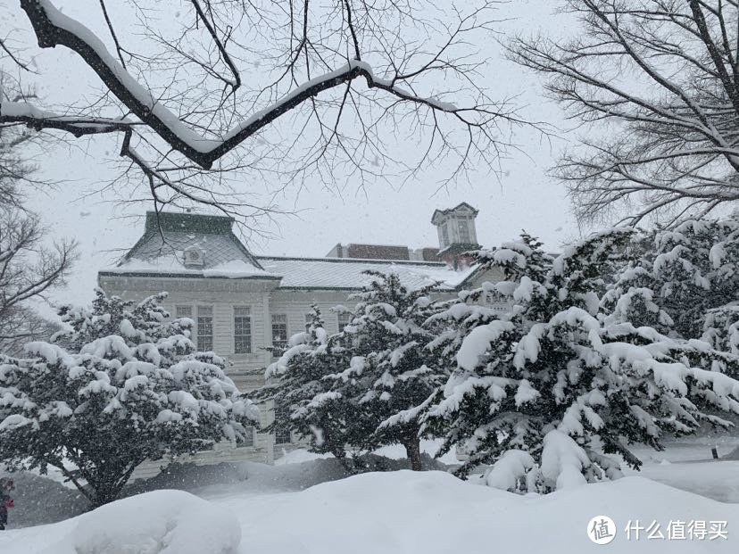 带娃旅游之雪雪雪的北海道