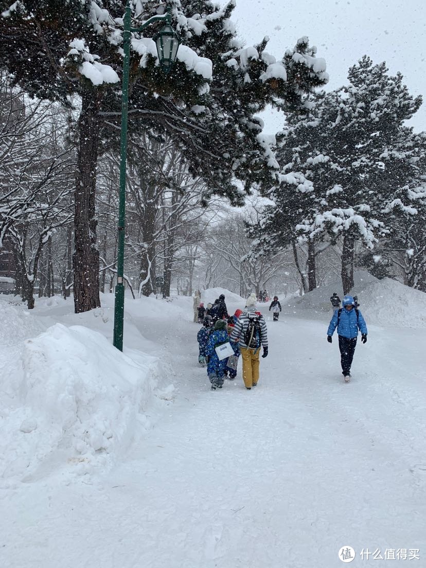带娃旅游之雪雪雪的北海道