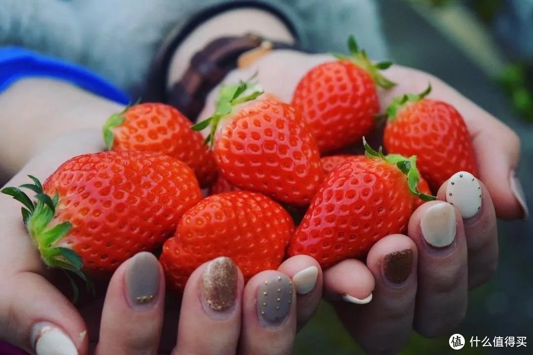 草莓自由的正确打开方式