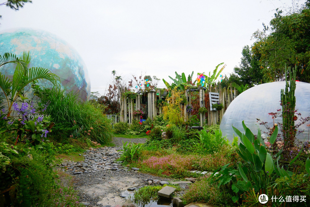 埔里多肉秘境：可爱又疗愈的泡泡屋，还有6米大蓝色地球，埔里IG打卡