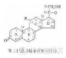 从“高富帅”的4万川崎换成“丑到爆”的8千块小踏板，我都经历了什么？