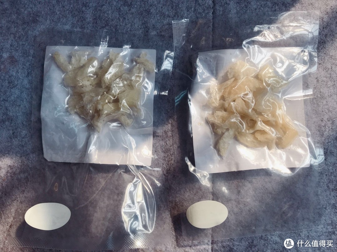 这就是传说中的燕角了，好小好少