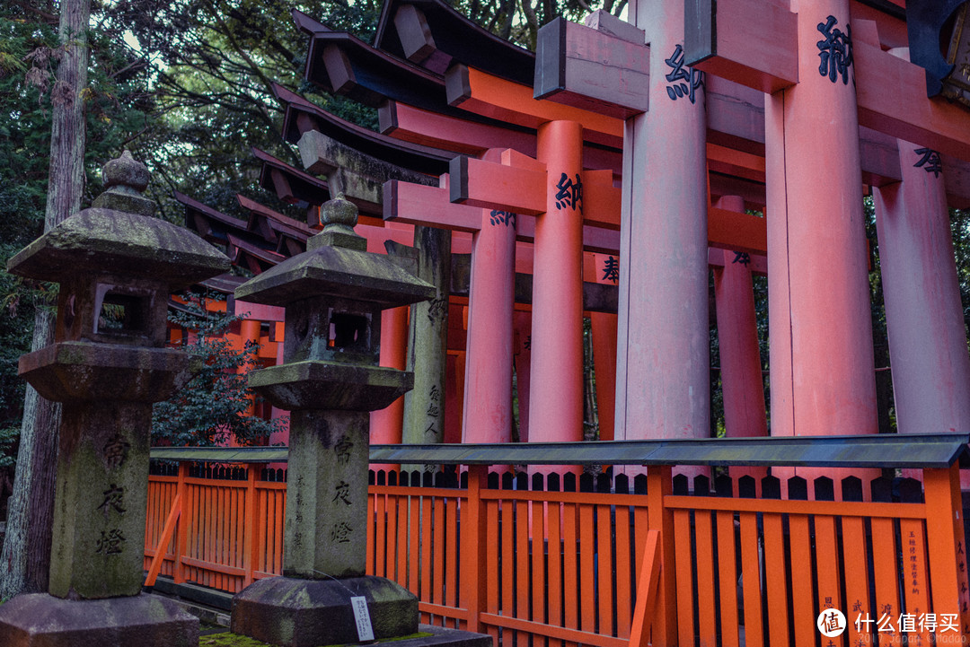 再访京都，稻荷山与花之绘姿